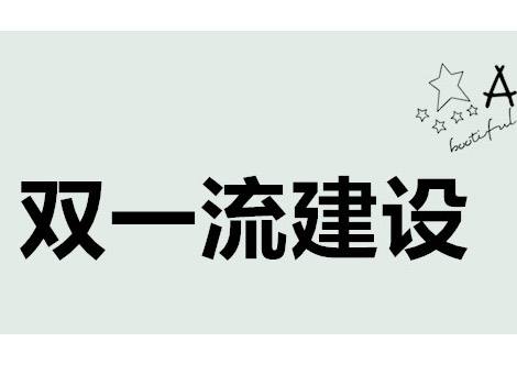 雙一流建設(shè)：優(yōu)先發(fā)展少數(shù)實力較強(qiáng)高校和學(xué)科