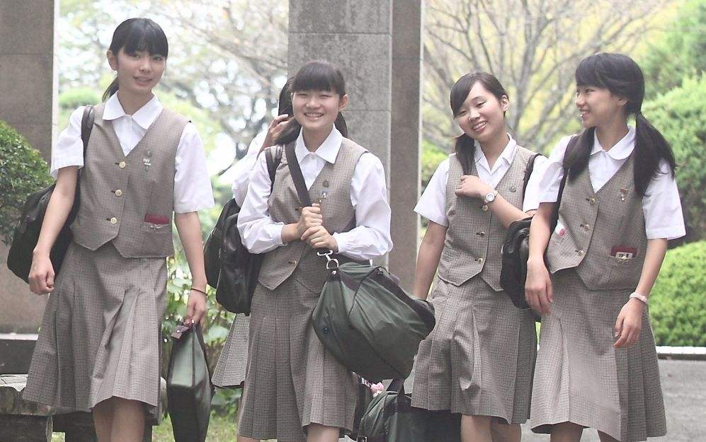 如何從高校自主招生簡章中獲取重要信息？ 