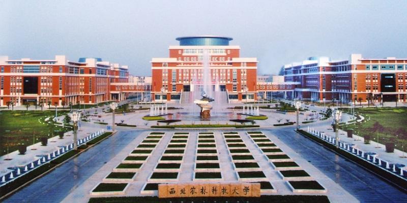 西北農林科技大學：如何創(chuàng)建世界一流農業(yè)大學